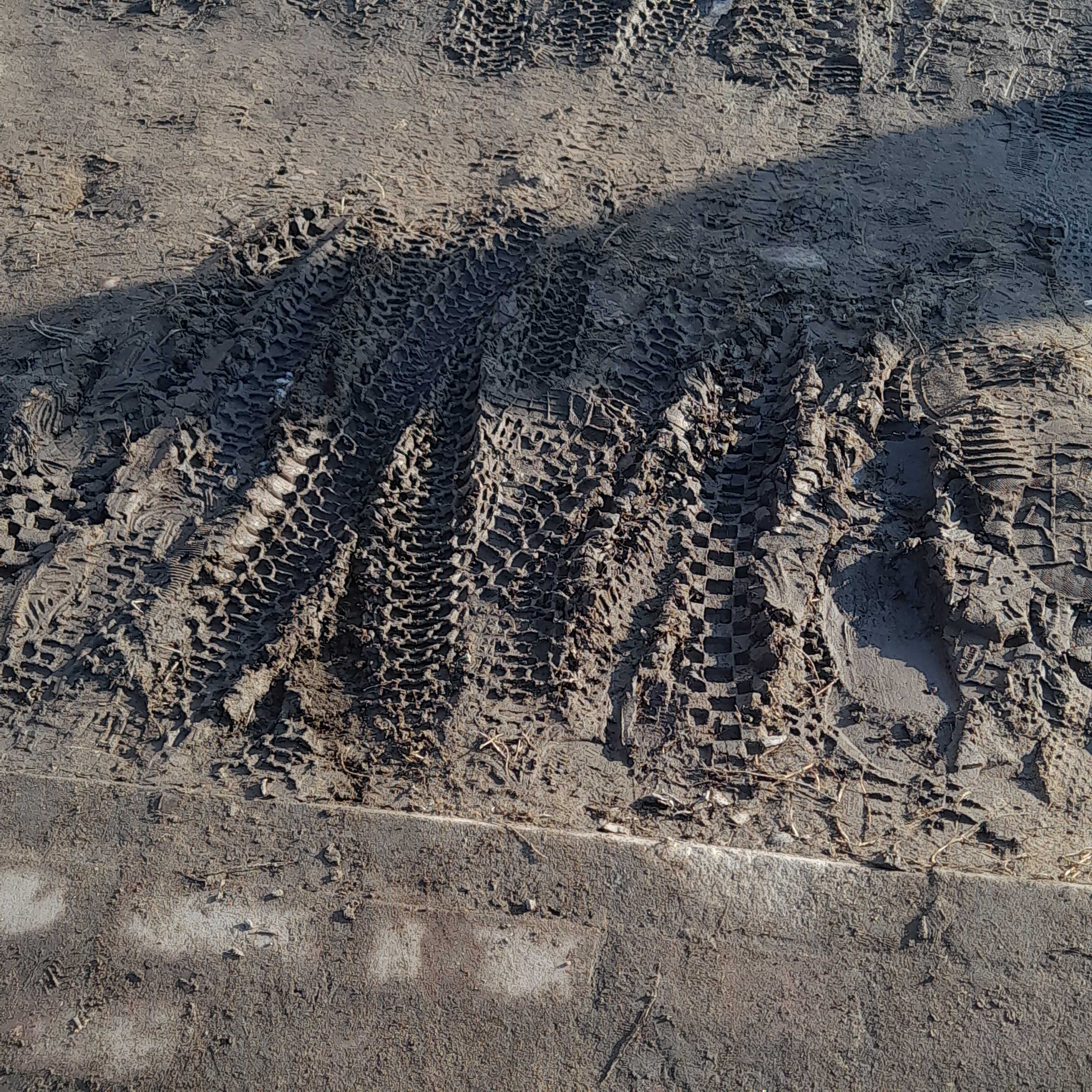 dump impressions of muddy life